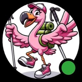 The Flamingo Flock