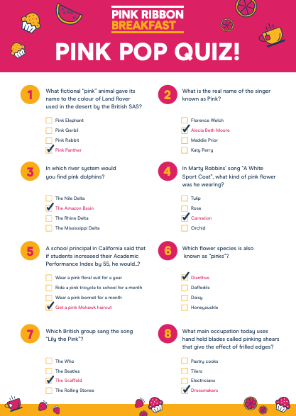 Pink Pop Quiz Answers