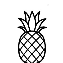 Pineapple Fitness