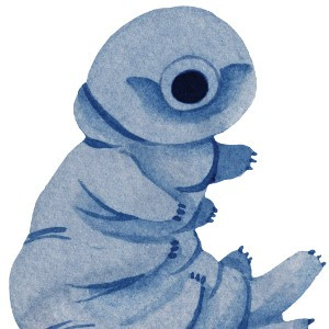 Wannon Water Tardigrades
